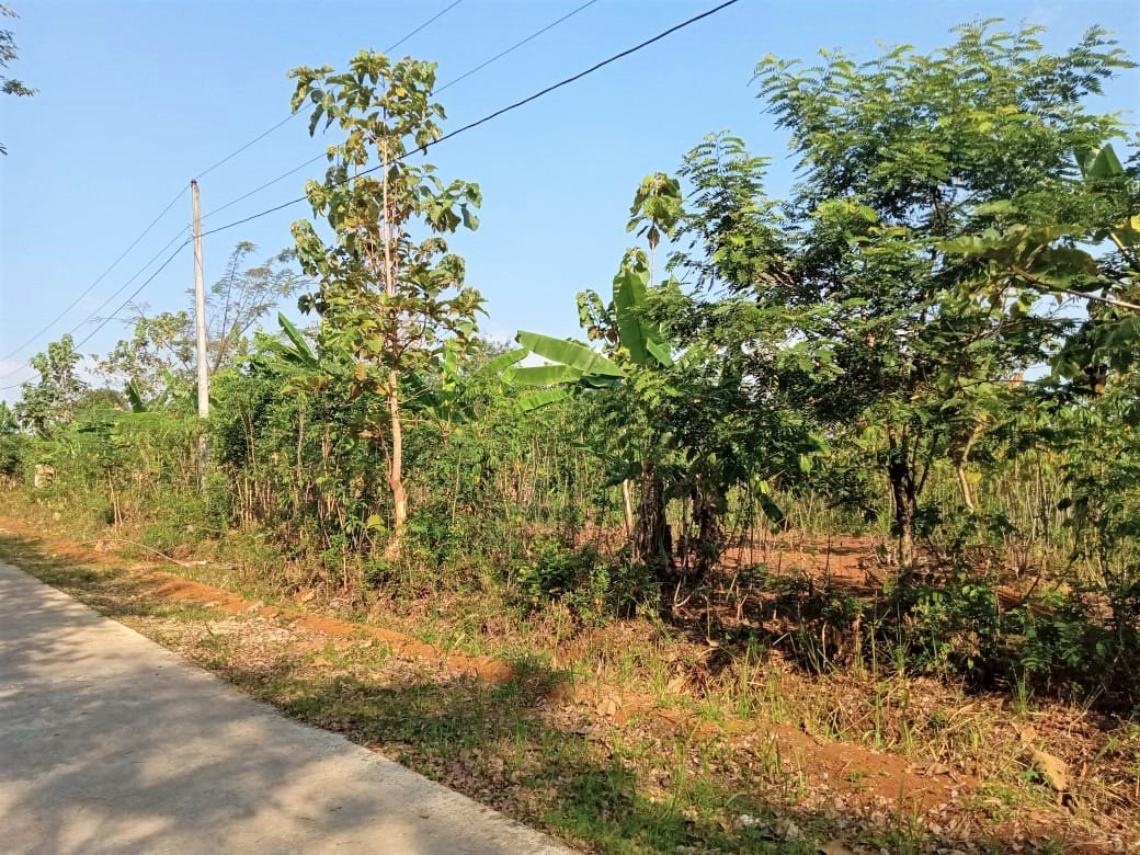 Tanah 12400m² Jumapolo Karanganyar - 3