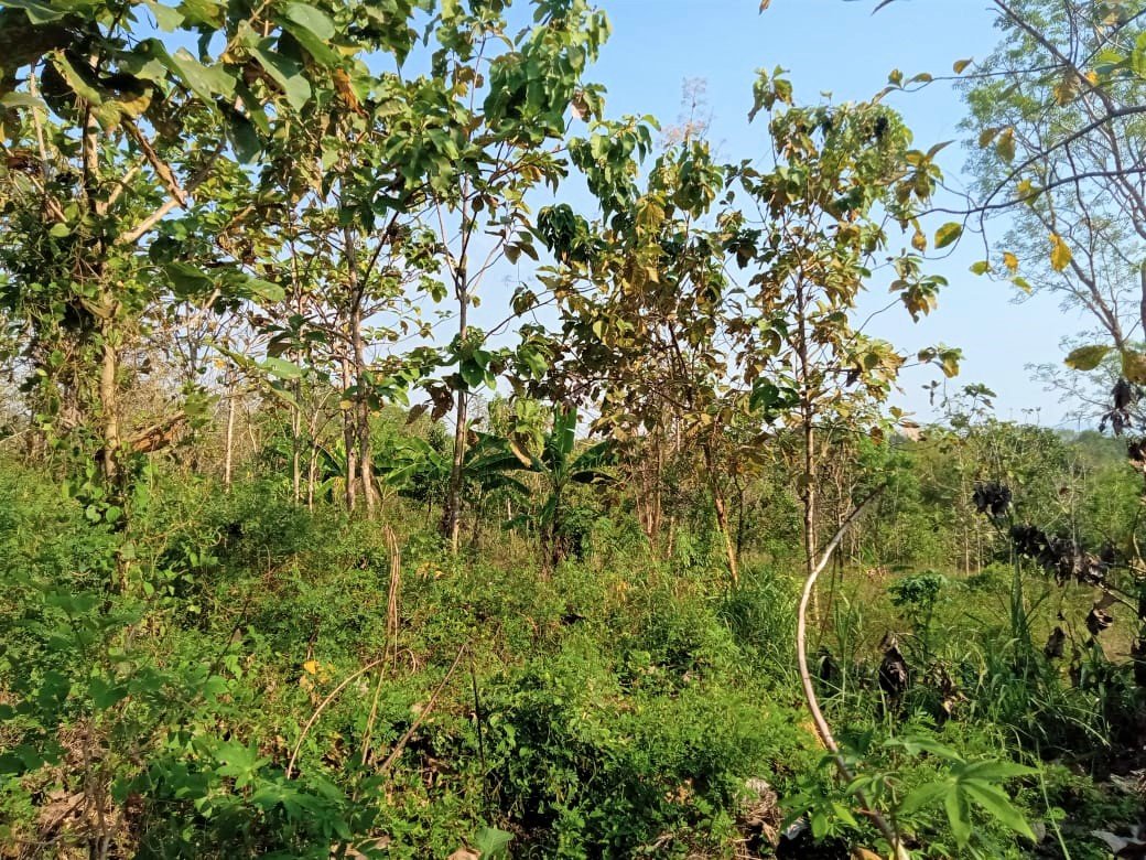 Tanah 12400m² Jumapolo Karanganyar - 4