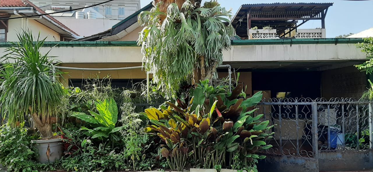 Rumah Dijual Cepat Daerah Jl Lamandau ll, Kebayoran Baru - 2