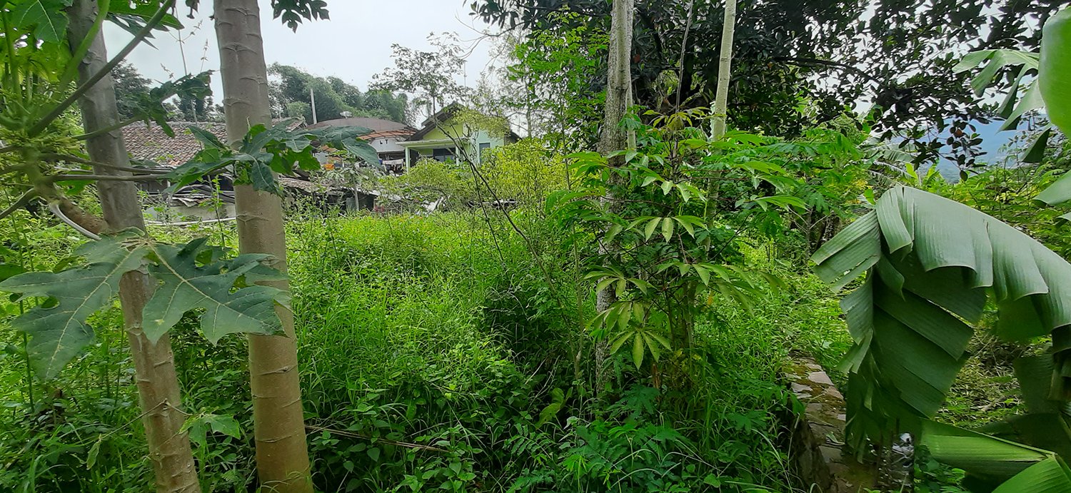 TANAH KOMERSIAL DI JALAN PASIR IMPUN BANDUNG - 3