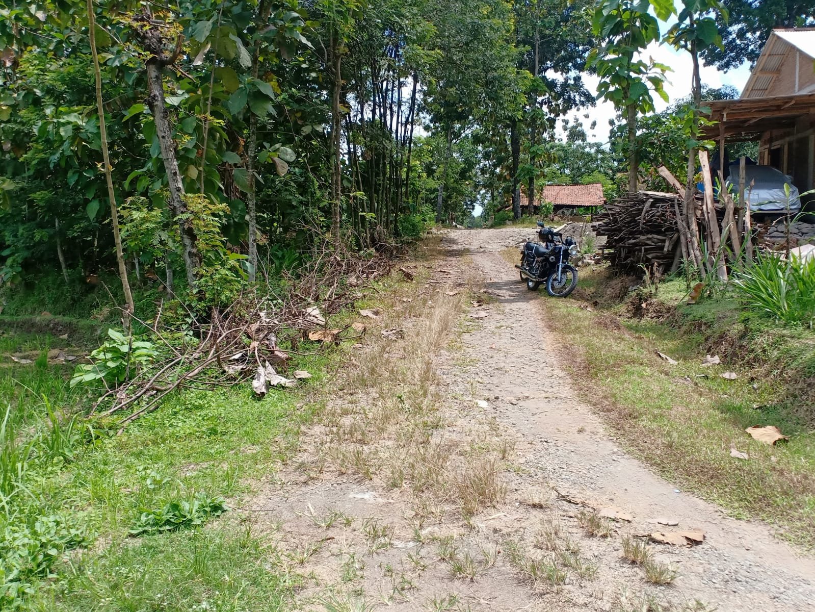 Tanah Cocok untuk Rumah Tinggal Gondang Sragen - 5