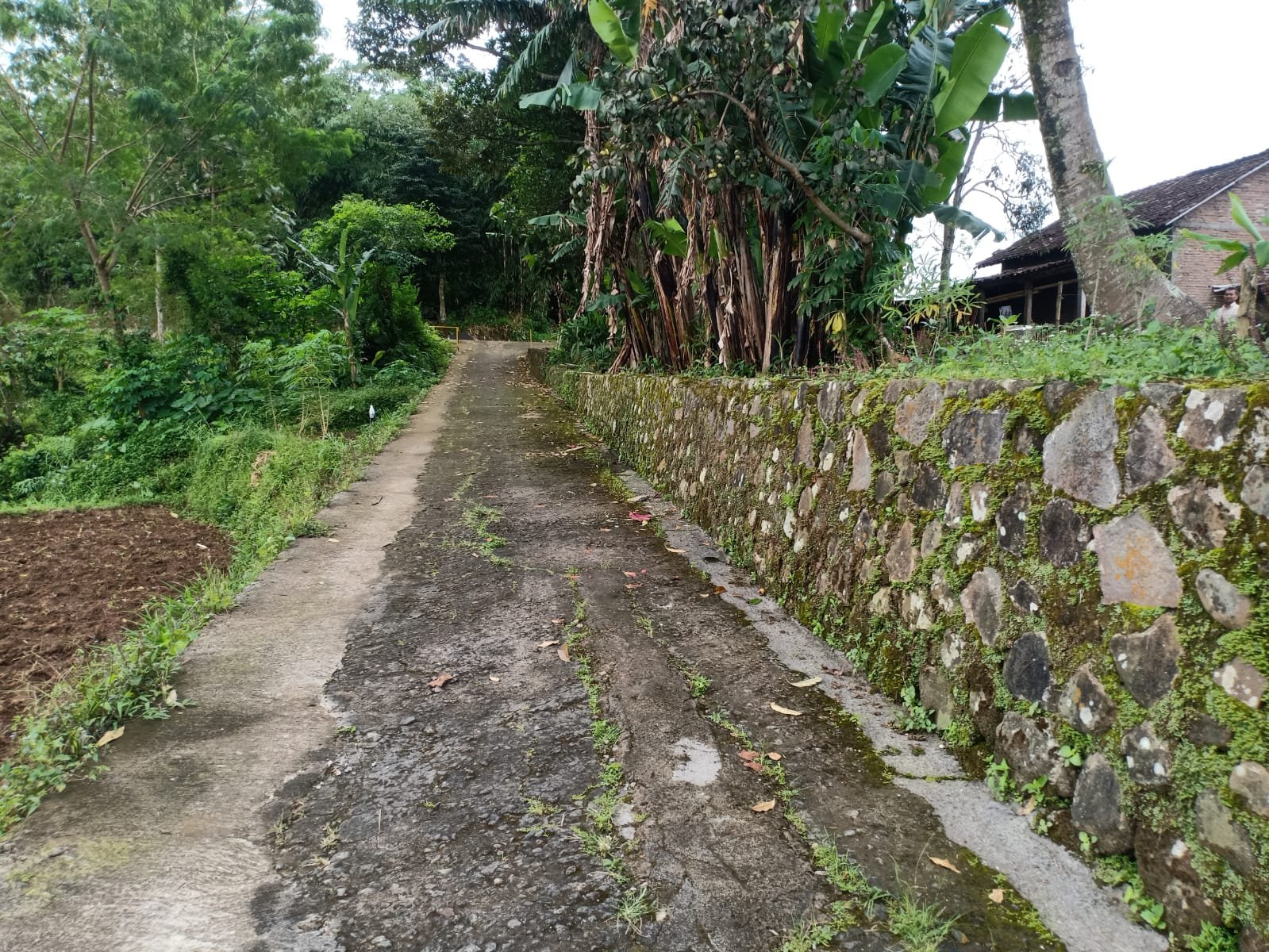 Rumah Siap Huni Karangpandan Karanganyar - 5