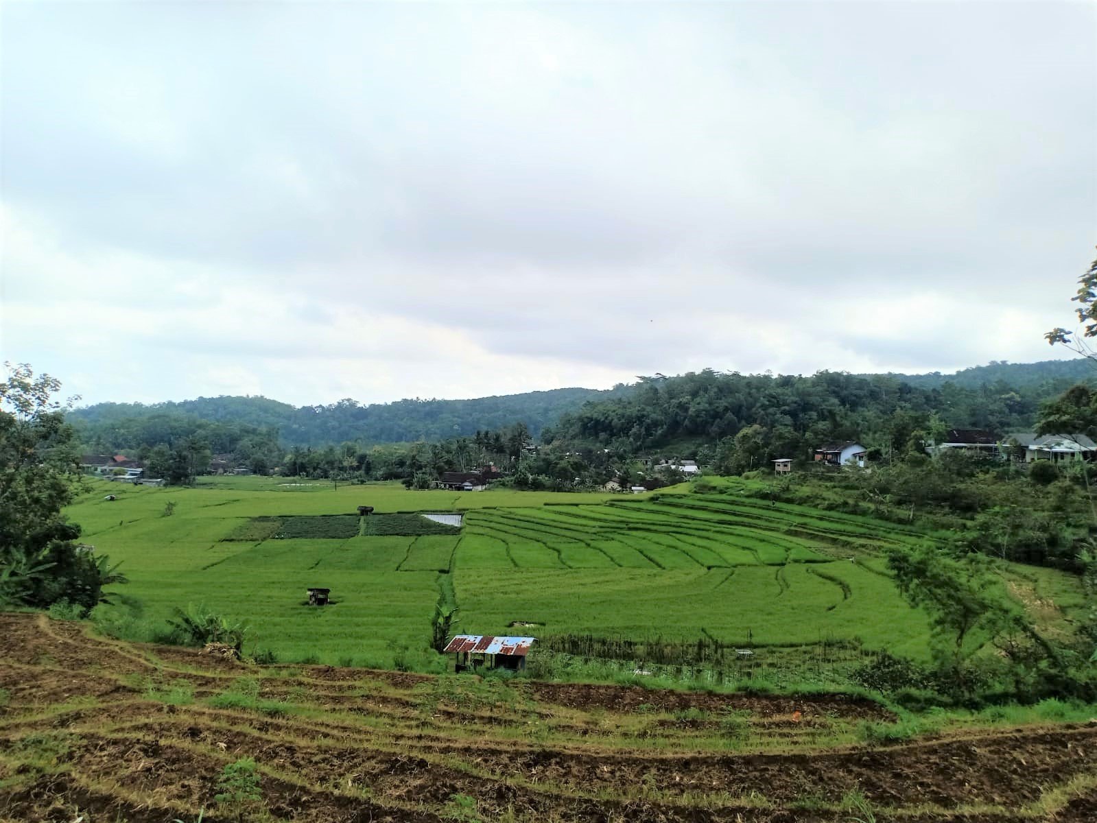 Rumah Siap Huni Karangpandan Karanganyar - 4