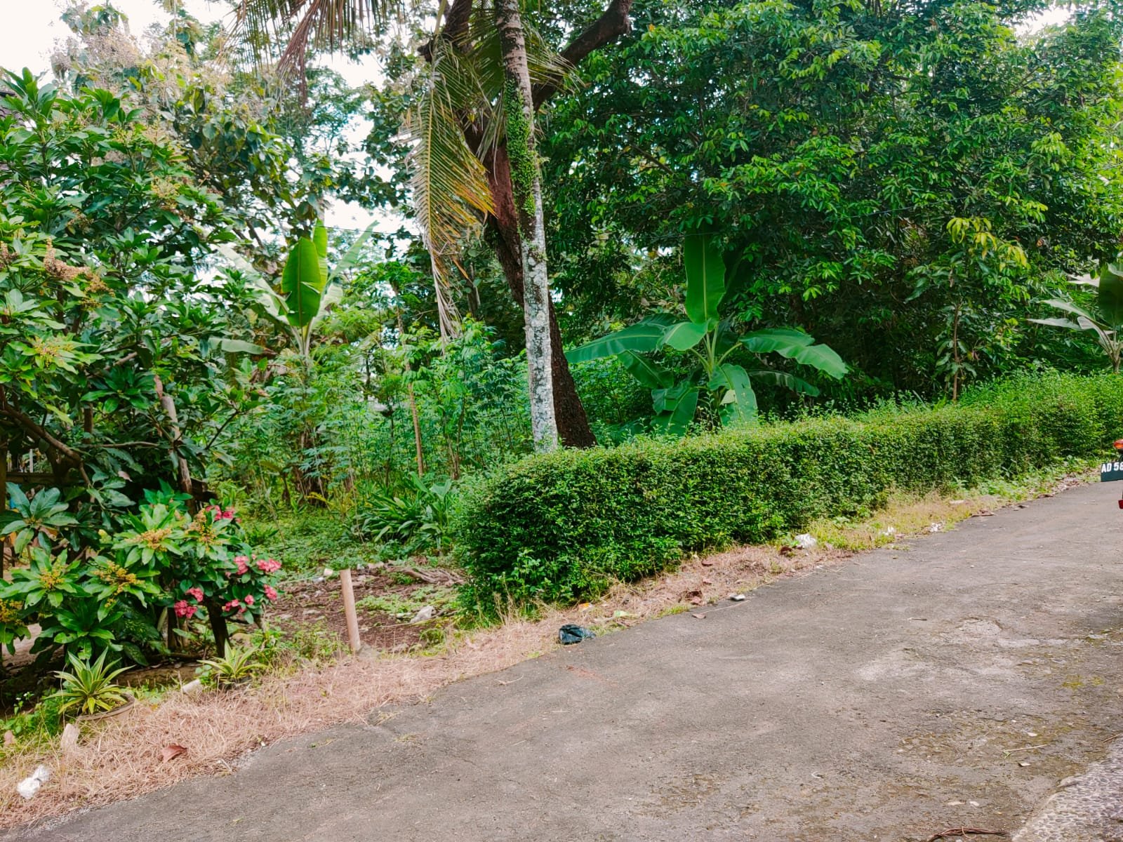 Tanah Datar Cocok dibangun Rumah Tinggal Mojogedang - 4