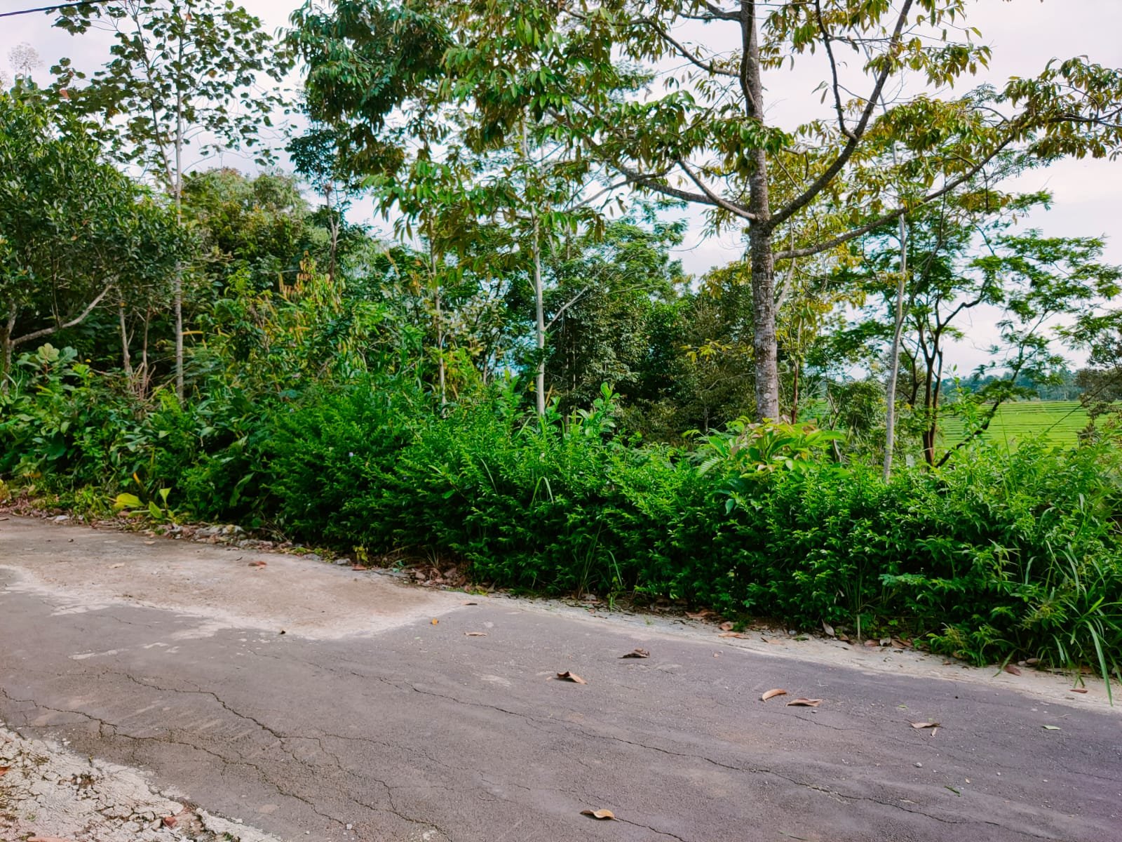 Tanah Cocok dibangun Villa Karangpandan Karanganyar - 3