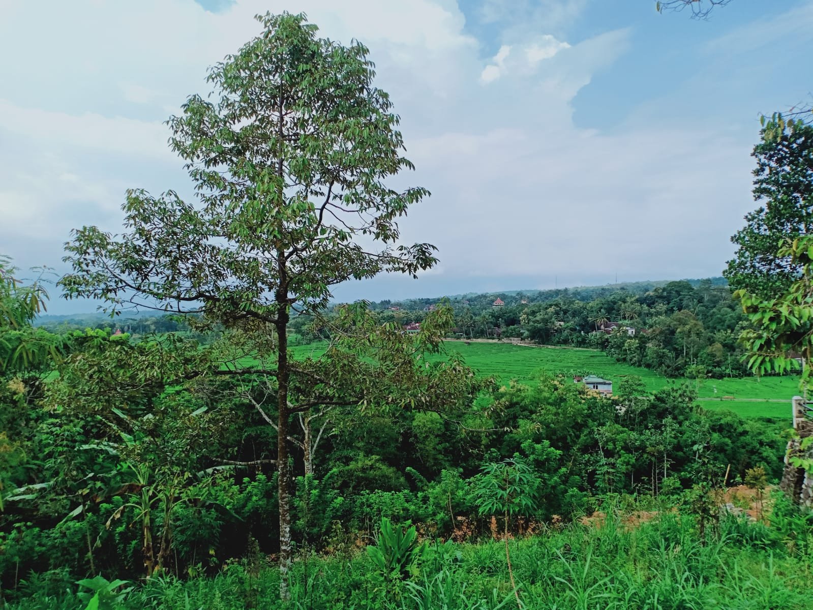 Tanah Cocok dibangun Villa Karangpandan Karanganyar - 2