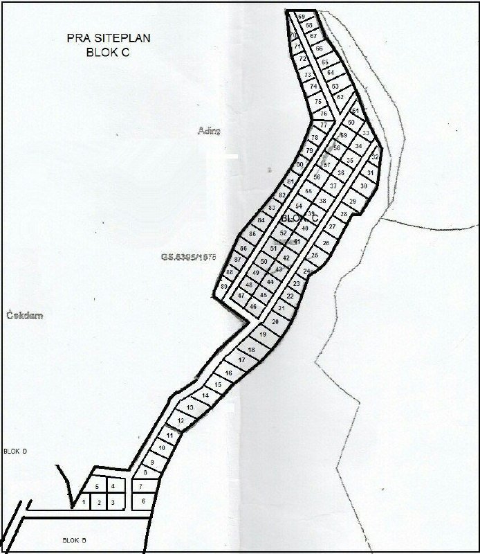 INVESTASI KEBUN BUKIT LENGKENG MEGAMENDUNG PUNCAK - 2