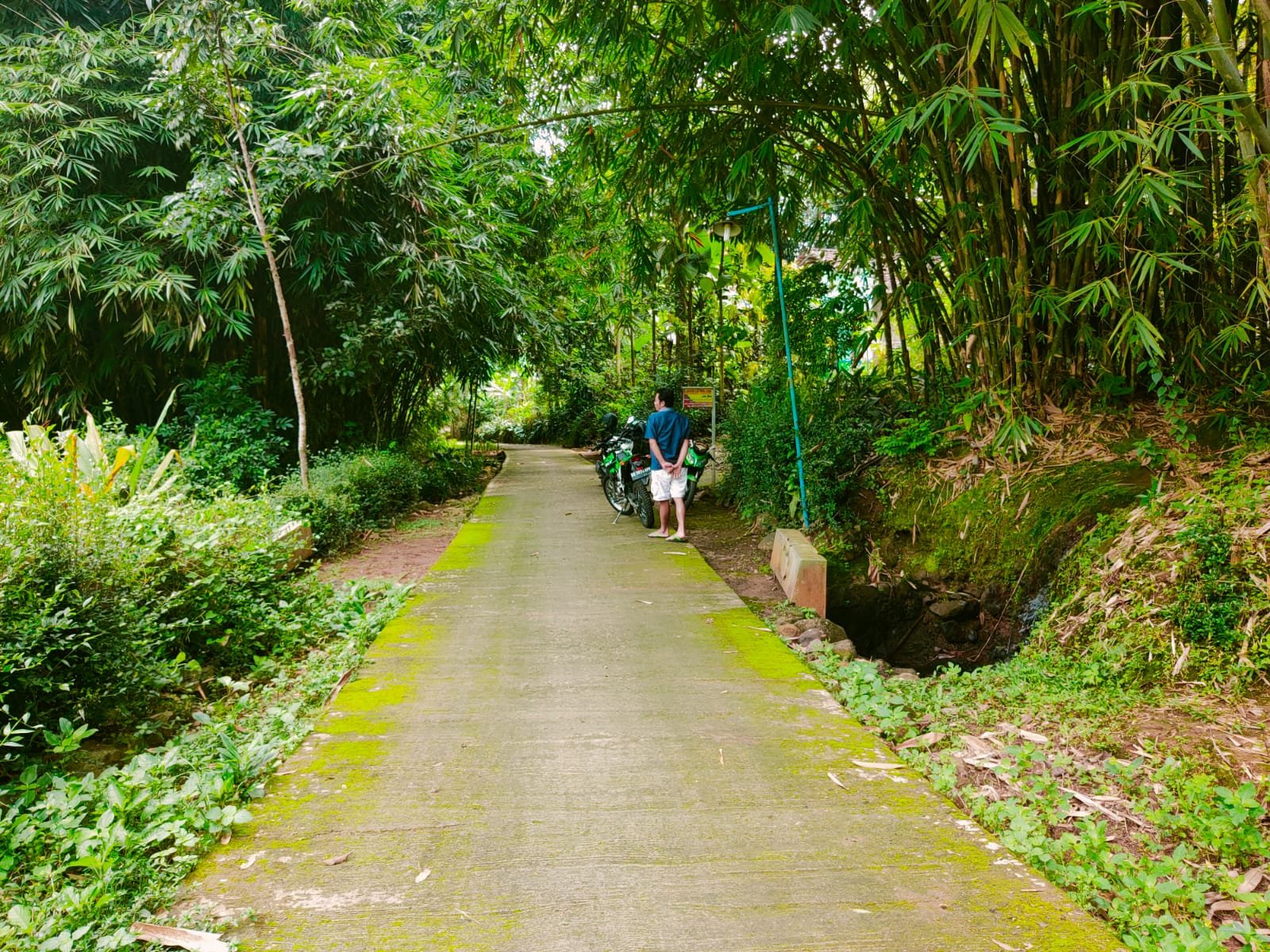 Tanah Kebun Buah Mojogedang Karanganyar - 2