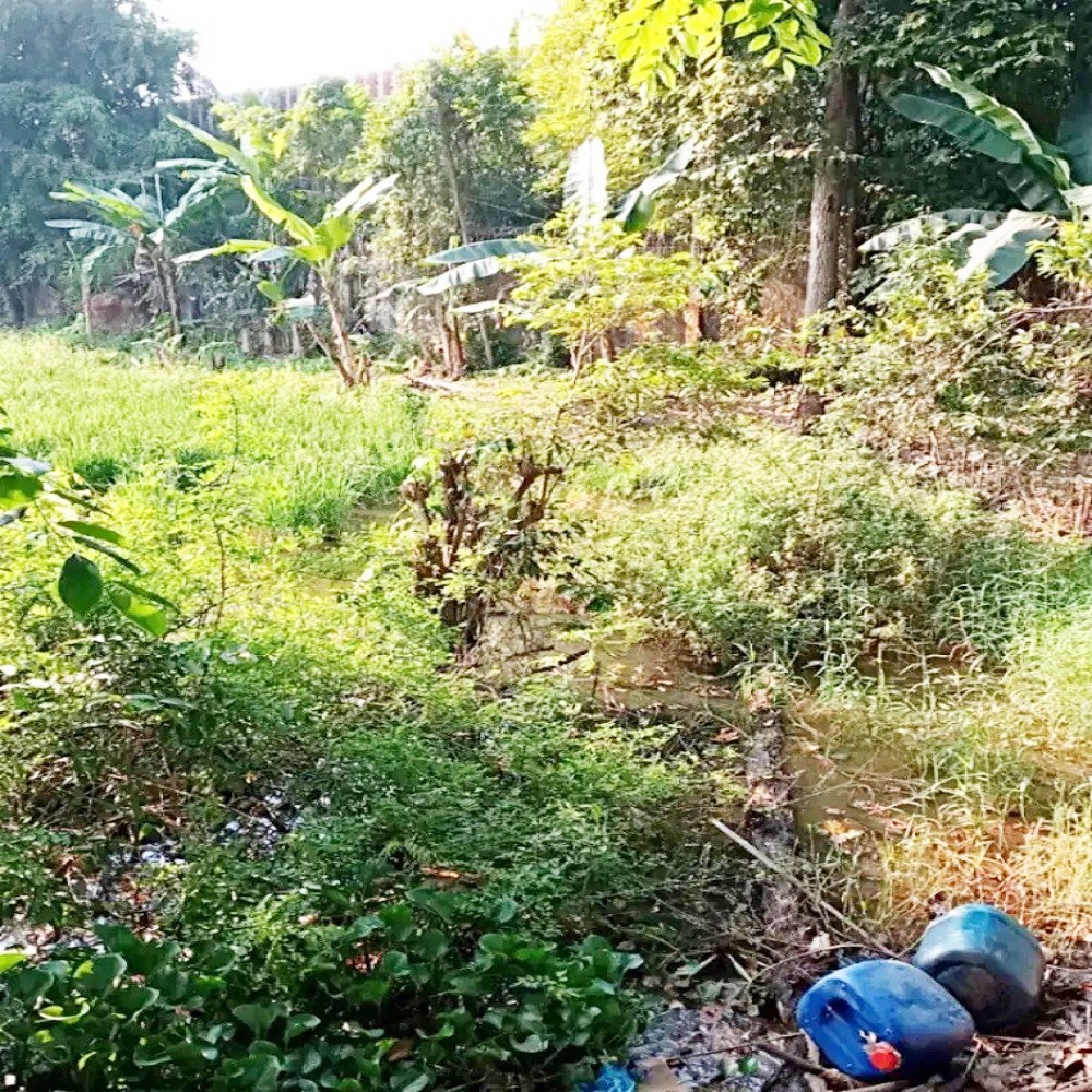 Tanah Dijual di Palembang Pinggir Jalan Dekat Citra Land Palembang, Stasiun Kertapati, Pintu Tol Palembang-Indralaya - 5