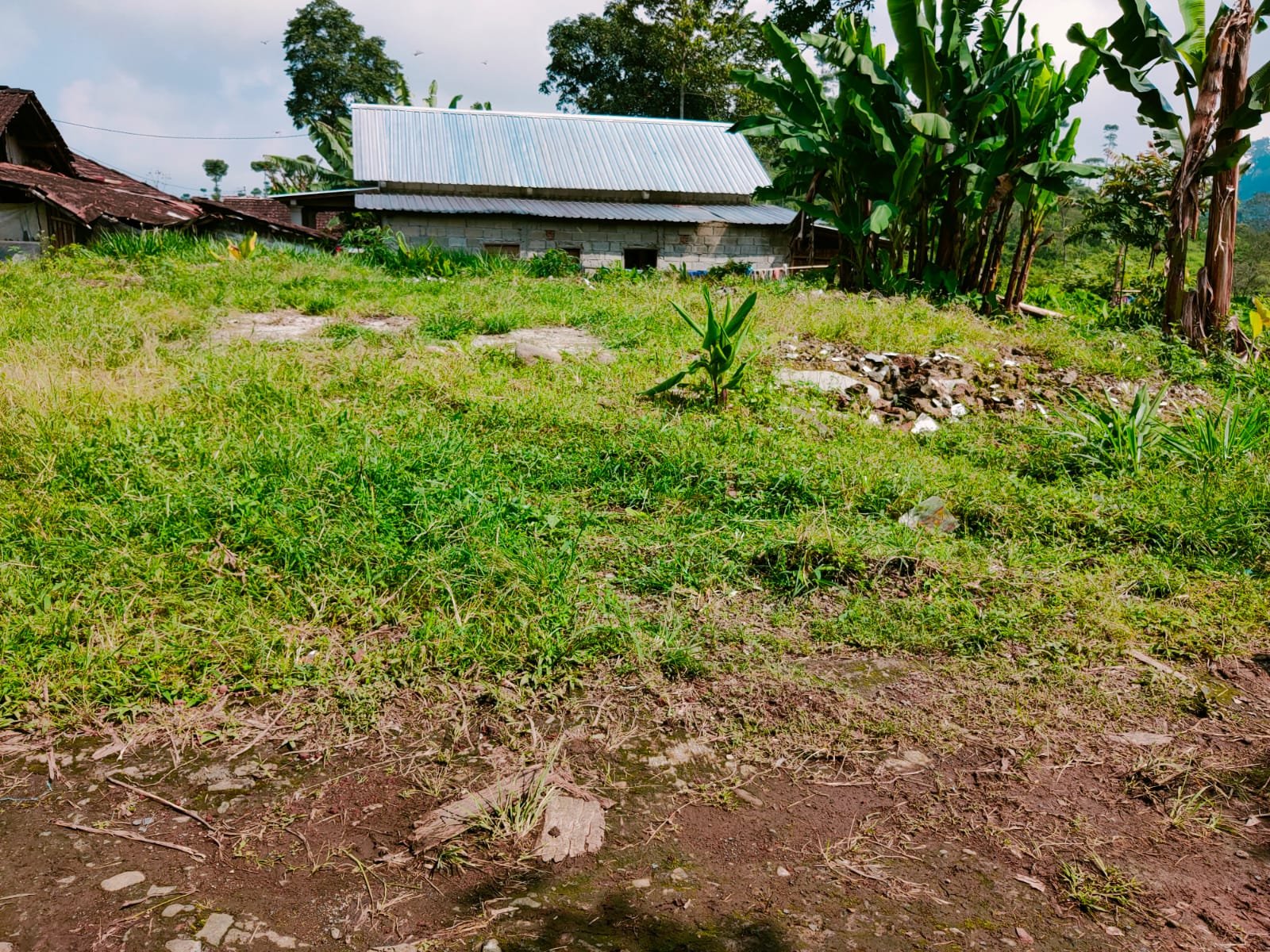Tanah Datar dikelilingi Kebun Teh Kemuning Karanganyar - 2