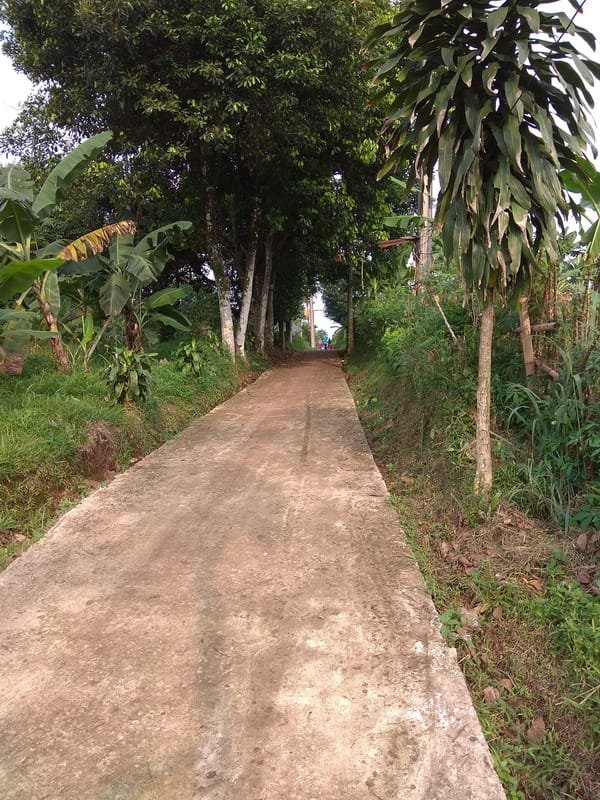 Dijual Tanah Strategis cocok utk bikin pesantren atau rumah - 6