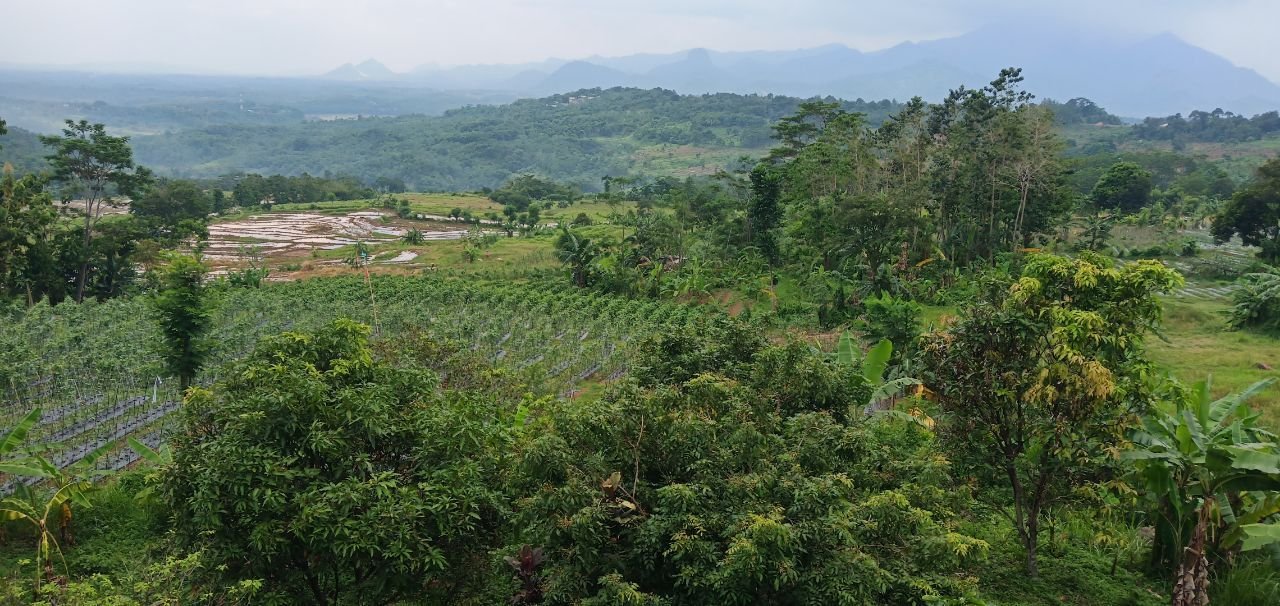 Kredit syariah Investasi Kavling Bukit Swiss Solusi Hidup Makmur diBogor Timur - 4