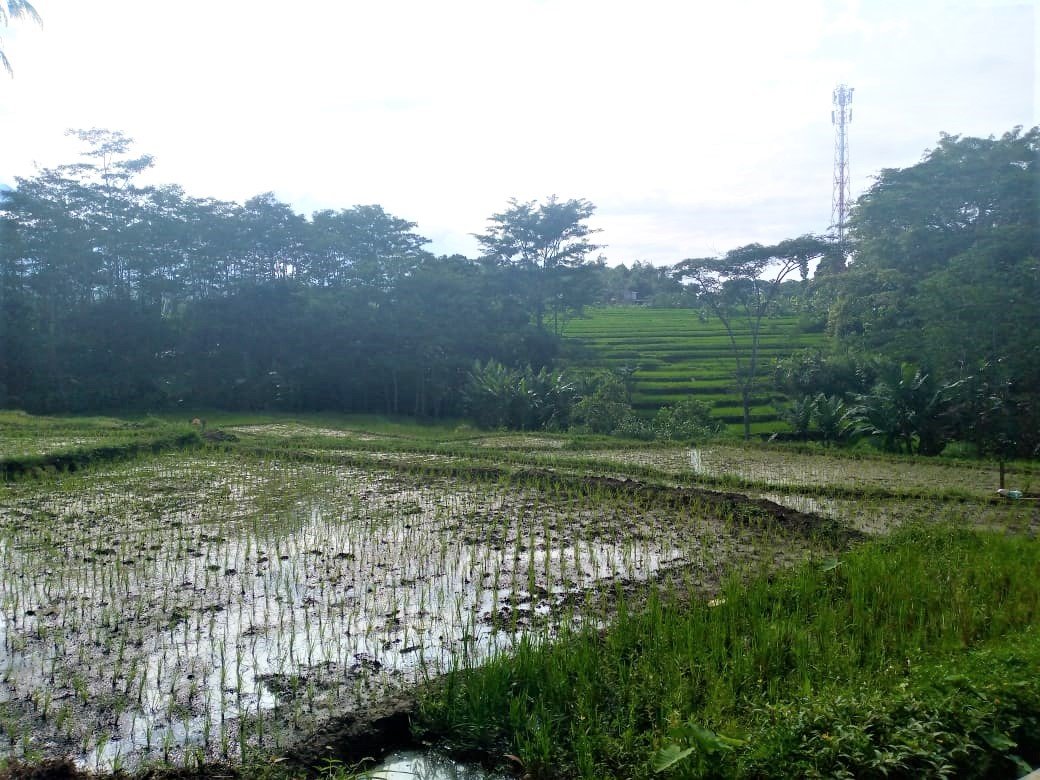 Dijual Tanah Timur Pasar Karangpandan Karanganyar - 2