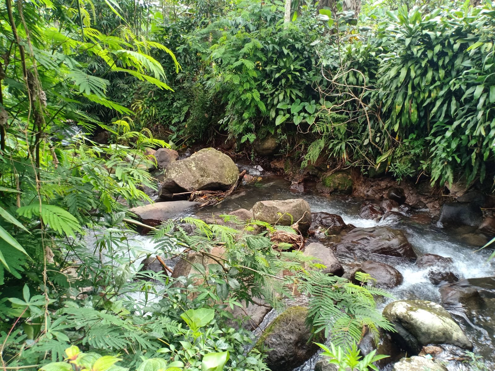 Jual Tanah Dekat Sungai Kemuning Karanganyar - 3