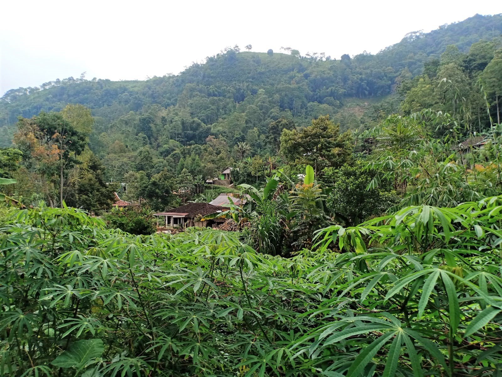 Jual Tanah Dekat Sungai Kemuning Karanganyar - 4
