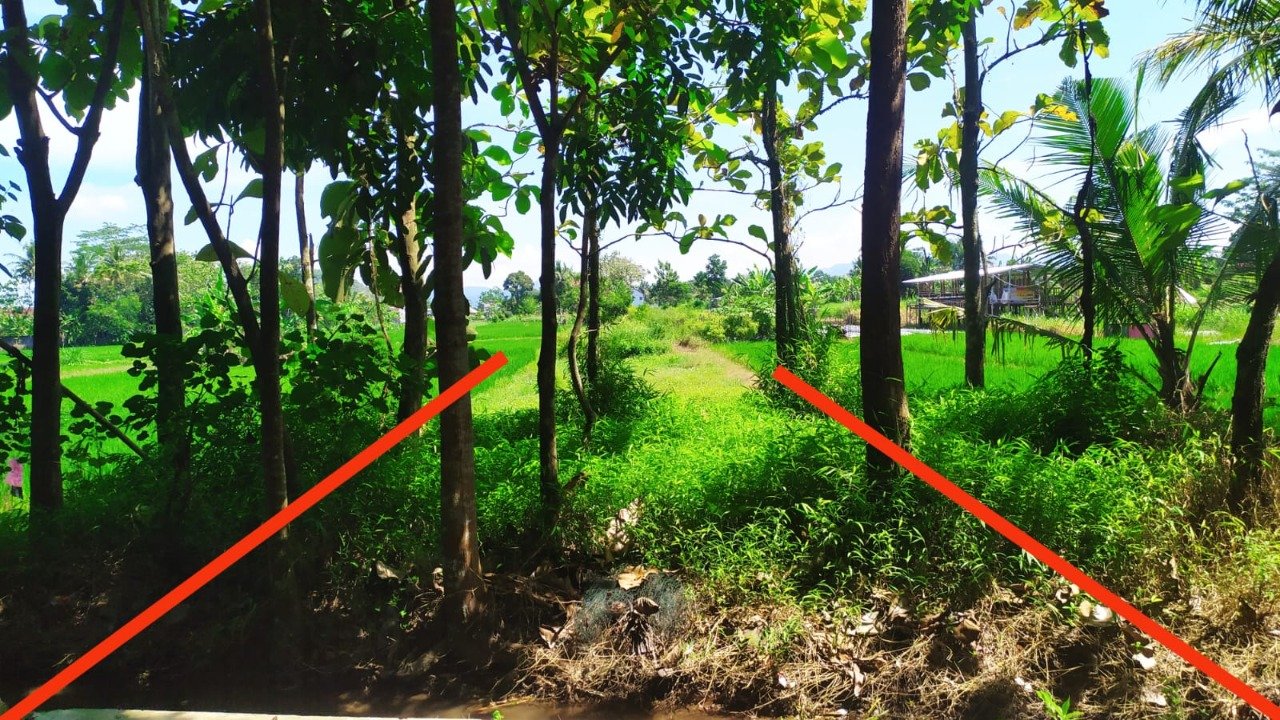 Dijual Cepat Tanah di Seyegan, Sleman, Yogyakarta (Tanpa Perantara) - 2