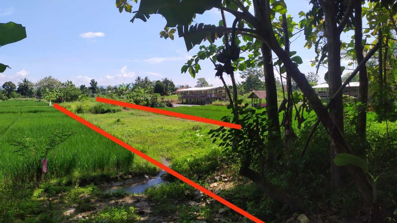 Dijual Cepat Tanah di Seyegan, Sleman, Yogyakarta (Tanpa Perantara) - 4