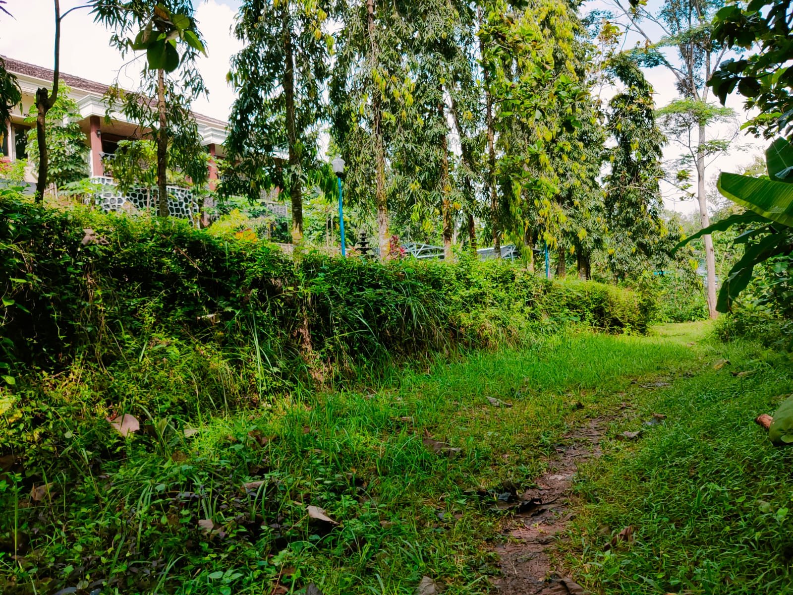 Tanah Subur Dekat Sungai Kerjo Karanganyar - 3