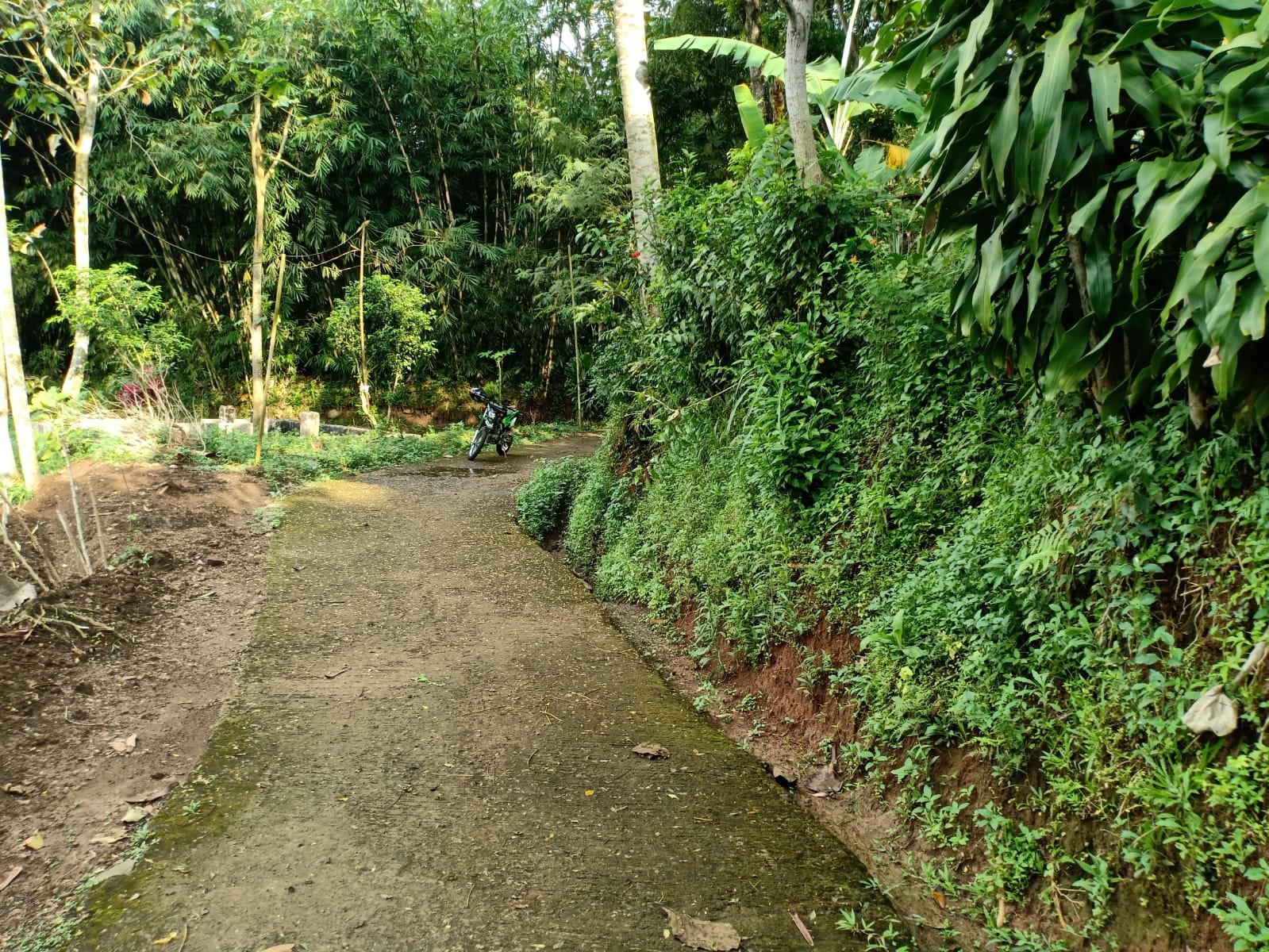Tanah Pekarangan di Karangpandan Karanganyar - 2