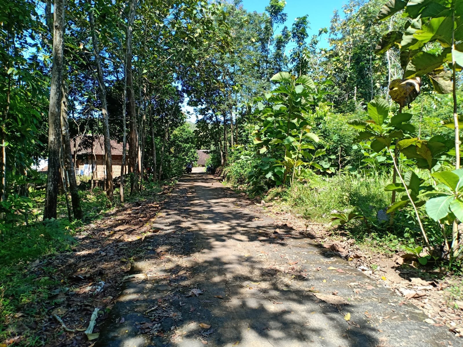 Jual Tanah Murah 55 Juta di Sragen - 3