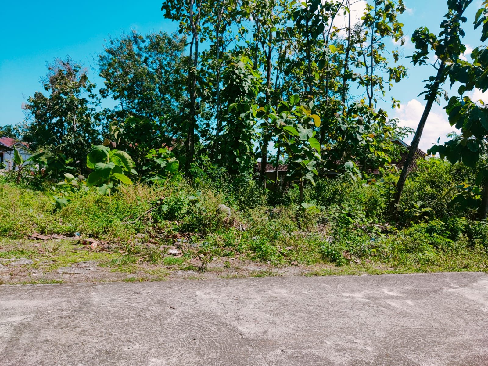 Tanah Strategis dibangun Rumah Tinggal Sragen - 2