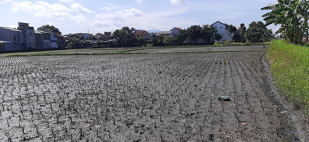 TANAH RESIDENSIAL DI KOMPLEK BUMI PANYILEUKAN  KOTA BANDUNG - 23