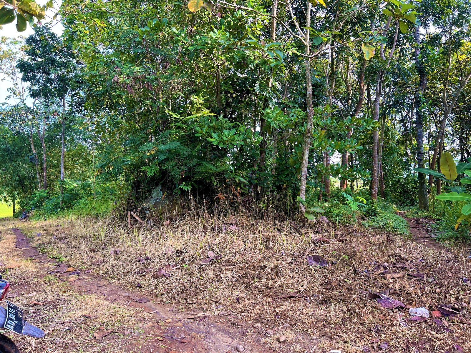 Dijual Tanah Strategis Dibangun Villa Kerjo Karanganyar - 3