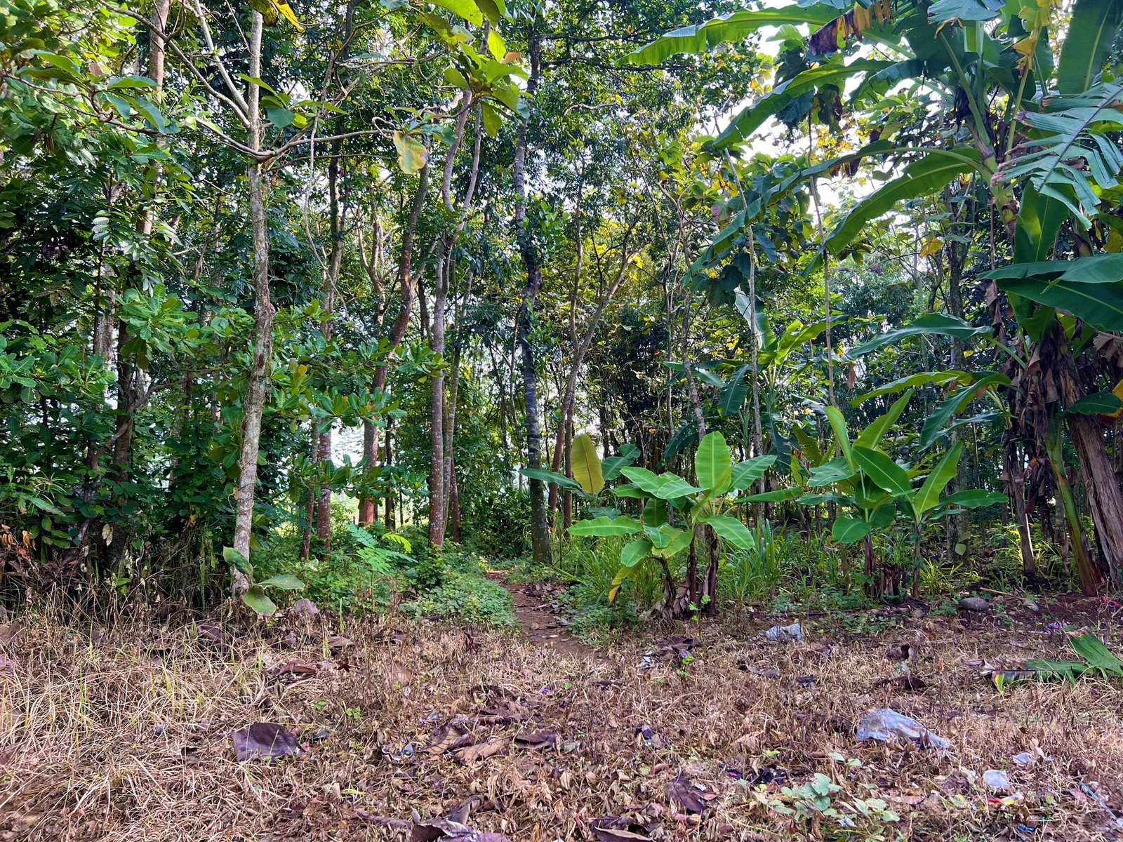 Dijual Tanah Strategis Dibangun Villa Kerjo Karanganyar - 5