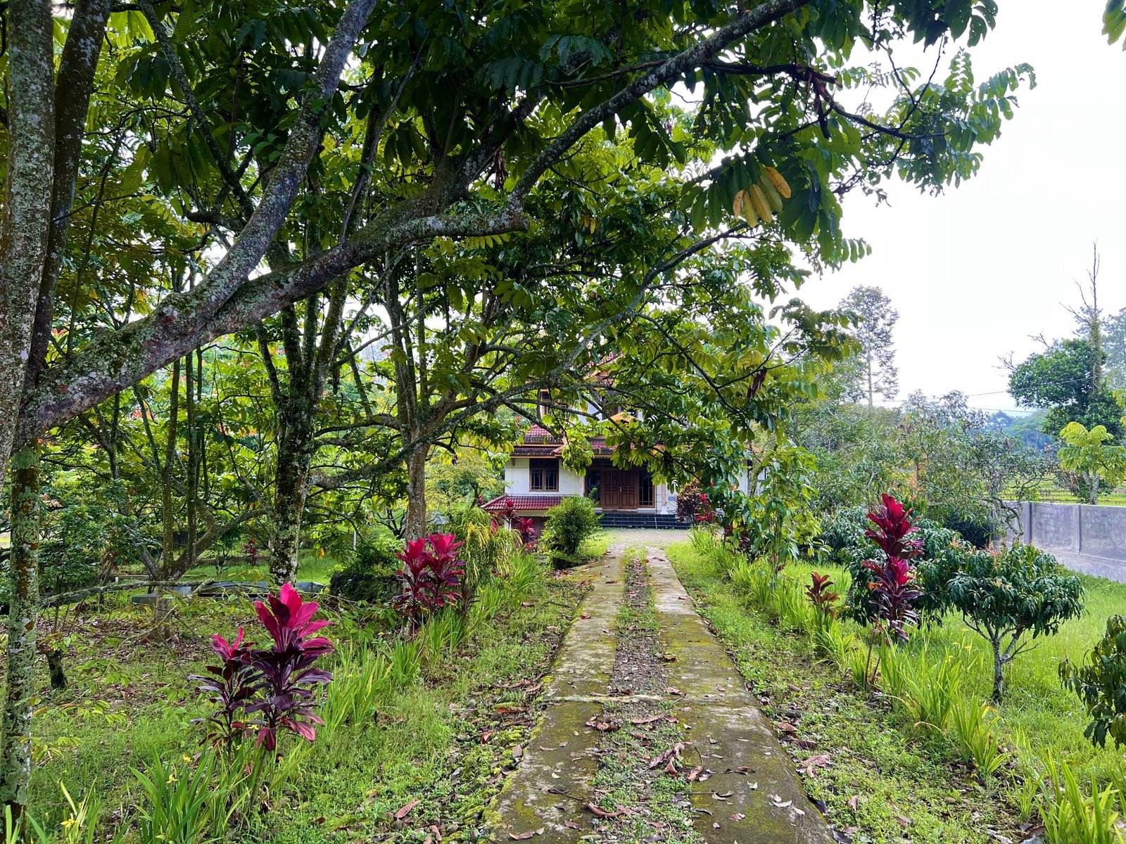Dijual Rumah Villa Tepi Jl Raya Solo – Tawangmangu Karanganyar - 2