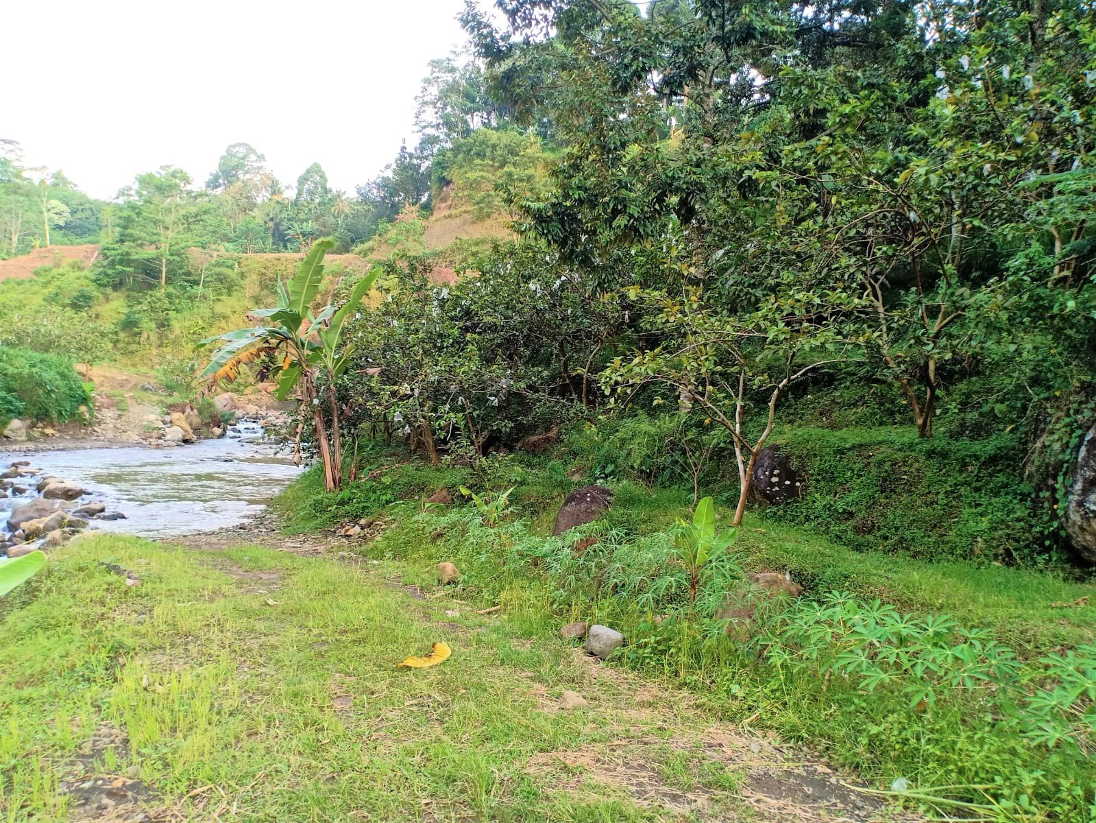 Tanah Cocok untuk Wisata / dibangun Hotel Ngargoyoso Karanganyar - 2