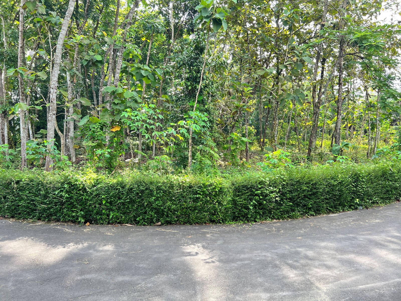 Dijual Tanah Pekarangan Mojogedang Karanganyar - 2
