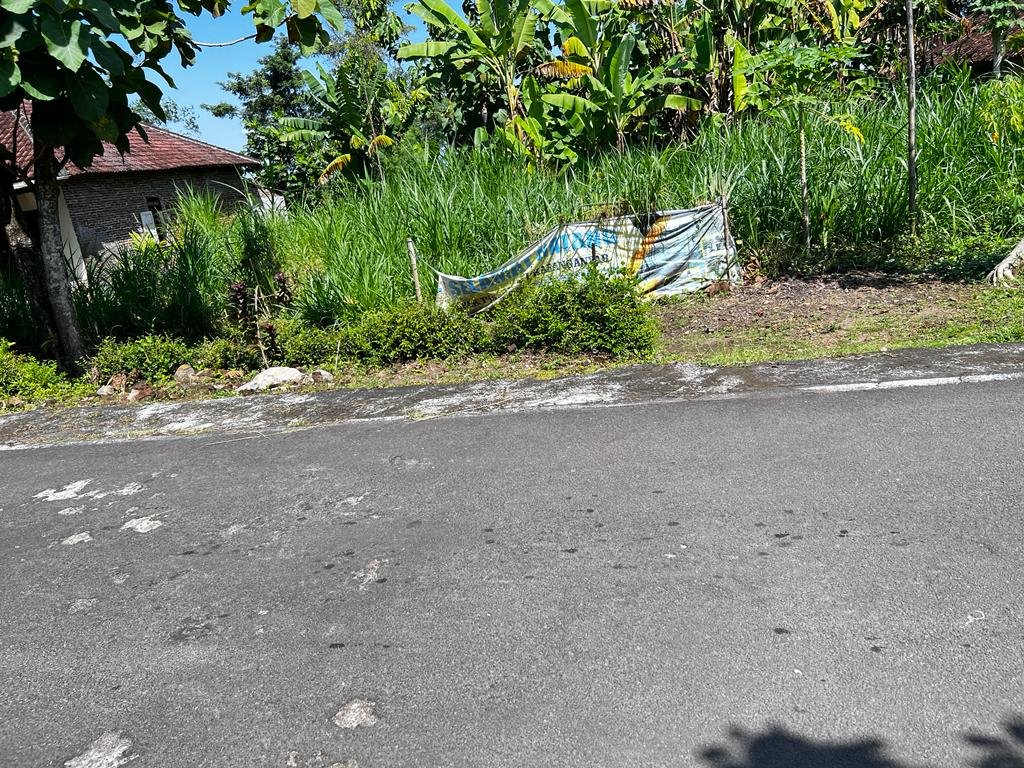 TANAH COCOK DIBANGUN RUMAH TINGGAL MOJOGEDANG KARANGANYAR - 2