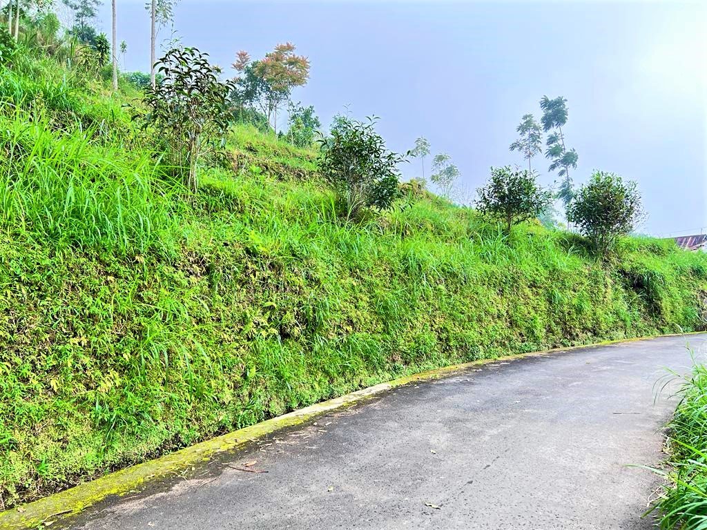 TANAH DIJUAL COCOK DIBANGUN VILLA KEMUNING KARANGANYAR JATENG - 2