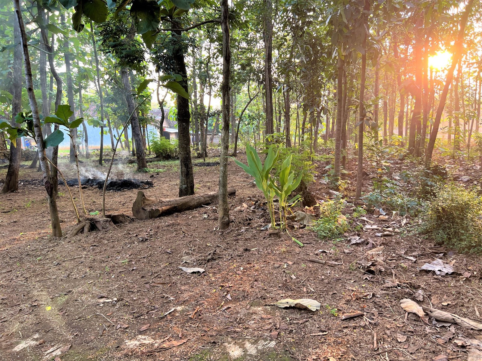 TANAH DIJUAL COCOK UNTUK RUMAH TINGGAL BENDUNGAN KEDAWUNG SRAGEN - 1