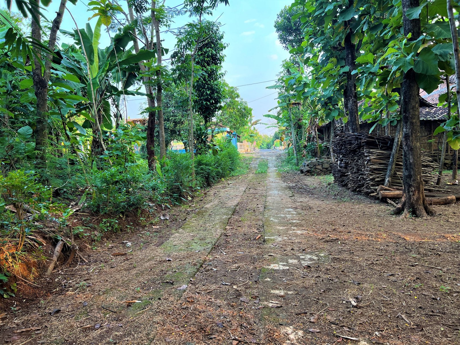 TANAH DIJUAL COCOK UNTUK RUMAH TINGGAL BENDUNGAN KEDAWUNG SRAGEN - 3