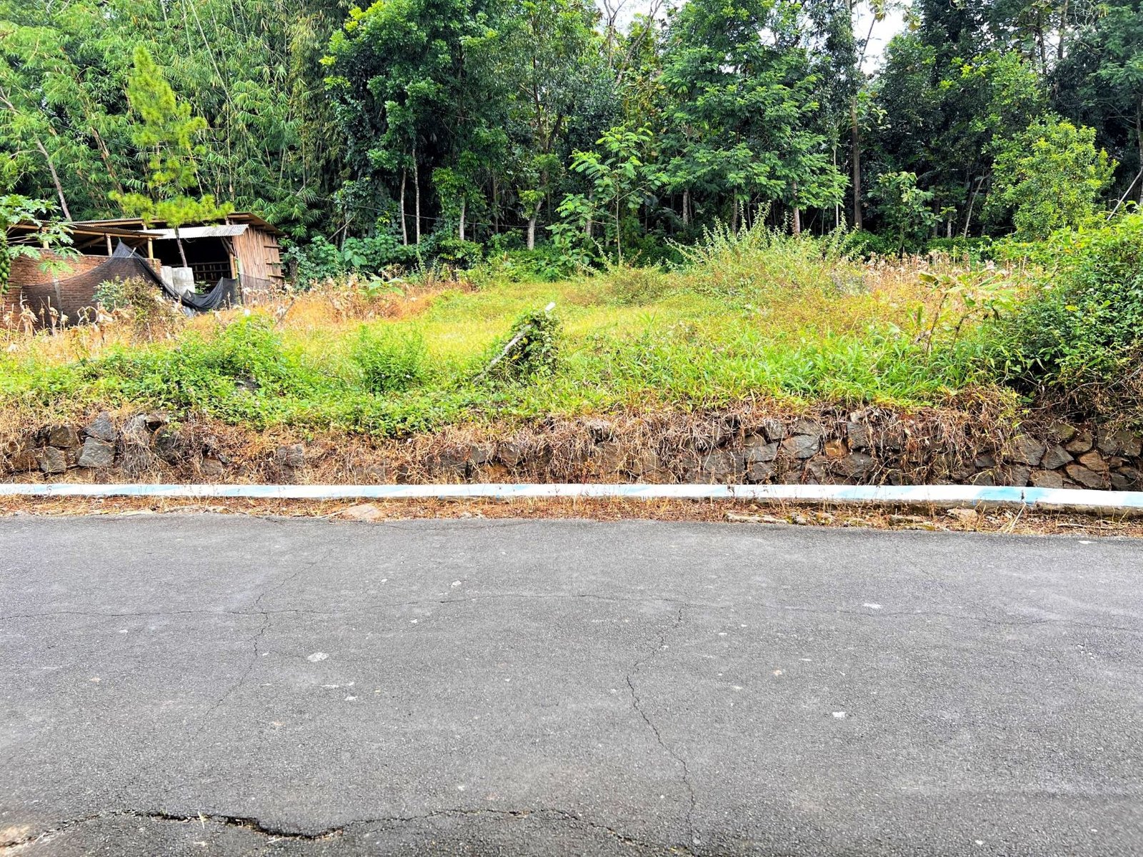 TANAH SUPER DATAR SIAP DIBANGUN MOJOGEDANG KARANGANYAR - 2