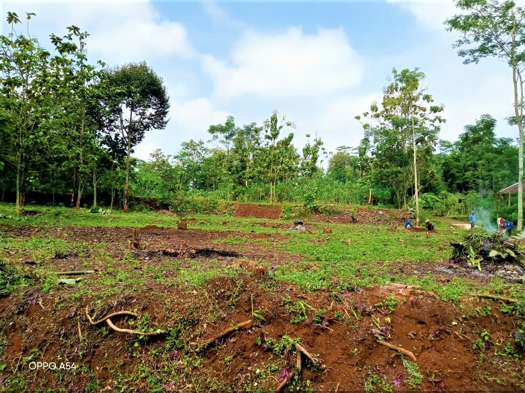 DIJUAL TANAH BONUS POHON DURIAN JUMANTONO KARANGANYAR - 3