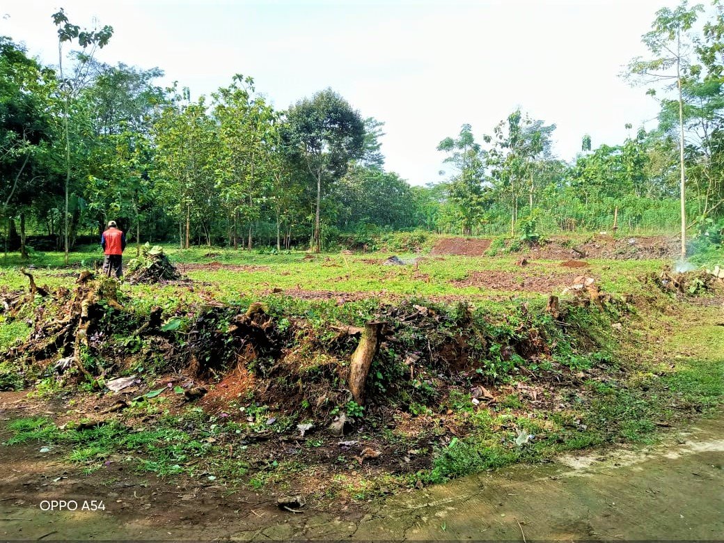 DIJUAL TANAH BONUS POHON DURIAN JUMANTONO KARANGANYAR - 2
