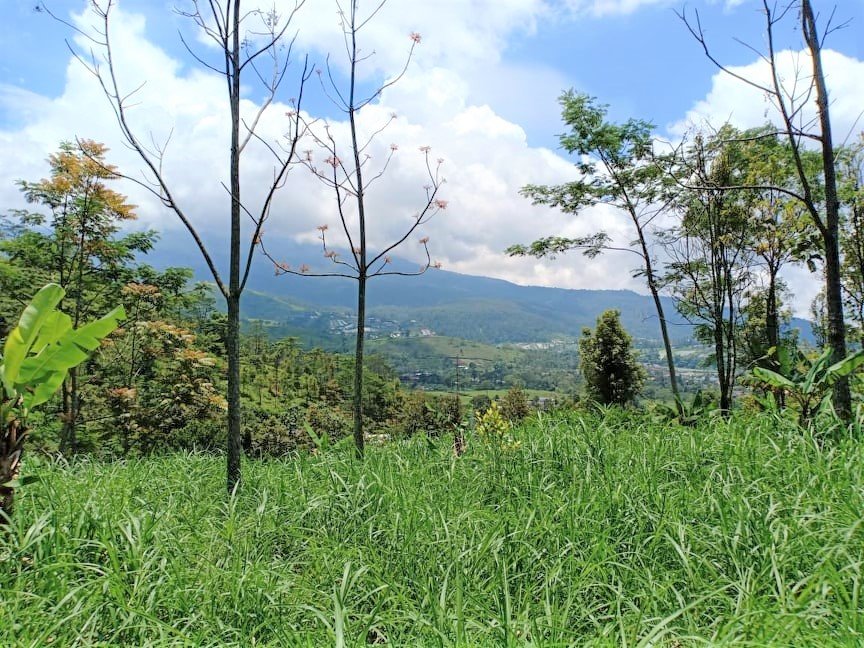 DIJUAL TANAH 200m2 KEMUNING NGARGOYOSO KARANGANYAR - 2