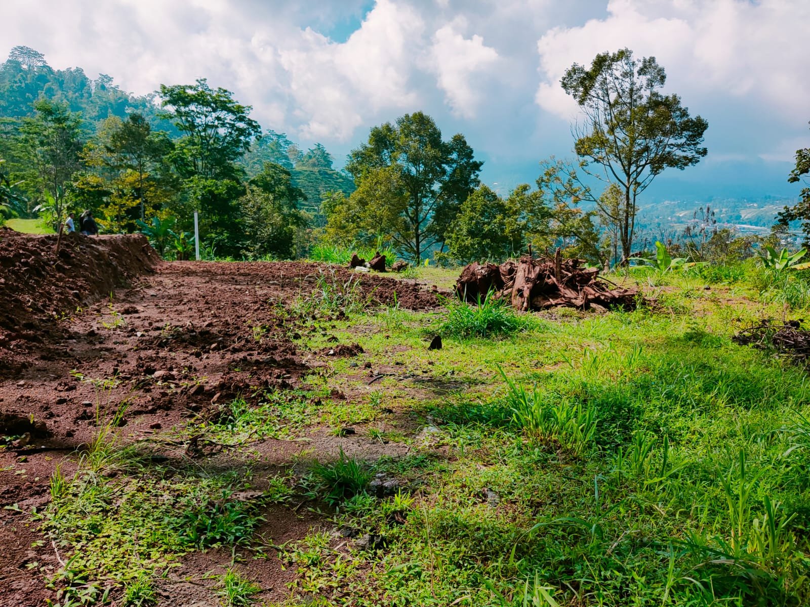 DIJUAL TANAH 200m2 KEMUNING NGARGOYOSO KARANGANYAR - 3