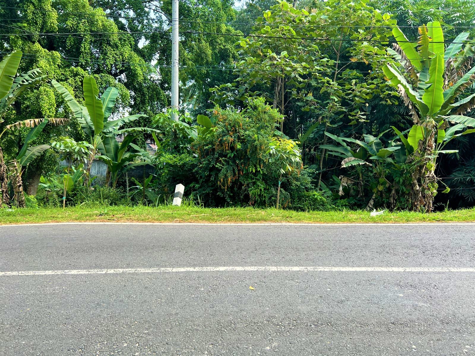 DIJUAL CEPAT TANAH STRATEGIS TEPI JL RAYA KARANGANYAR – BATUJAMUS - 2