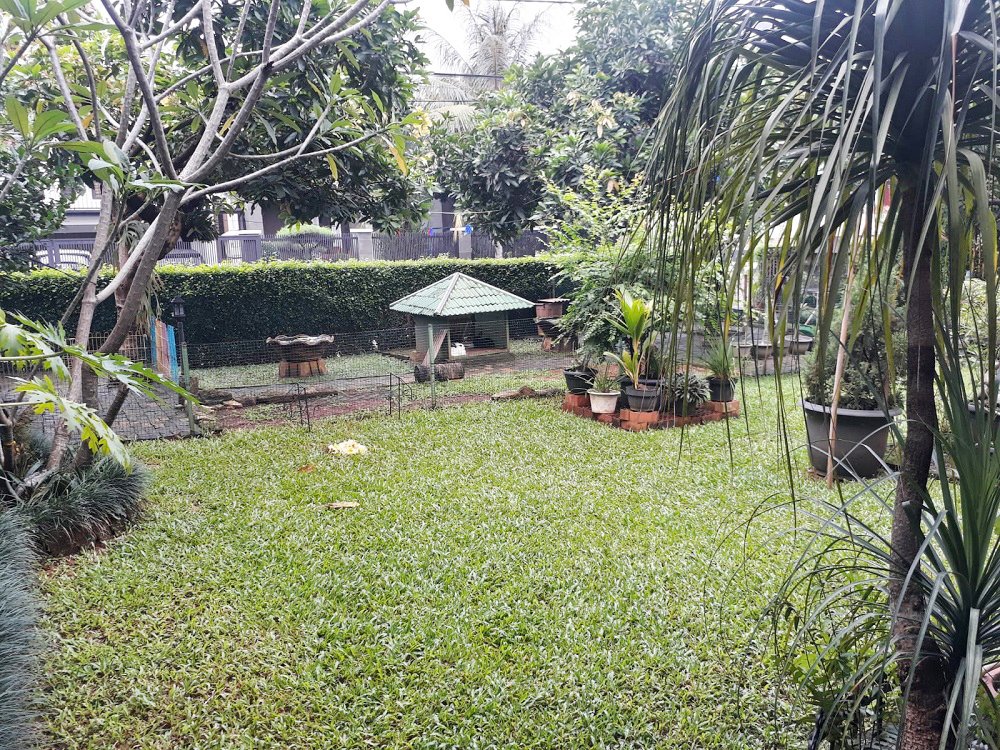 Rumah Dijual di Depok Dekat Studio Alam TVRI, RS Hermina Depok, Stasiun Depok, Mall Pesona Square, ITC Depok - 4