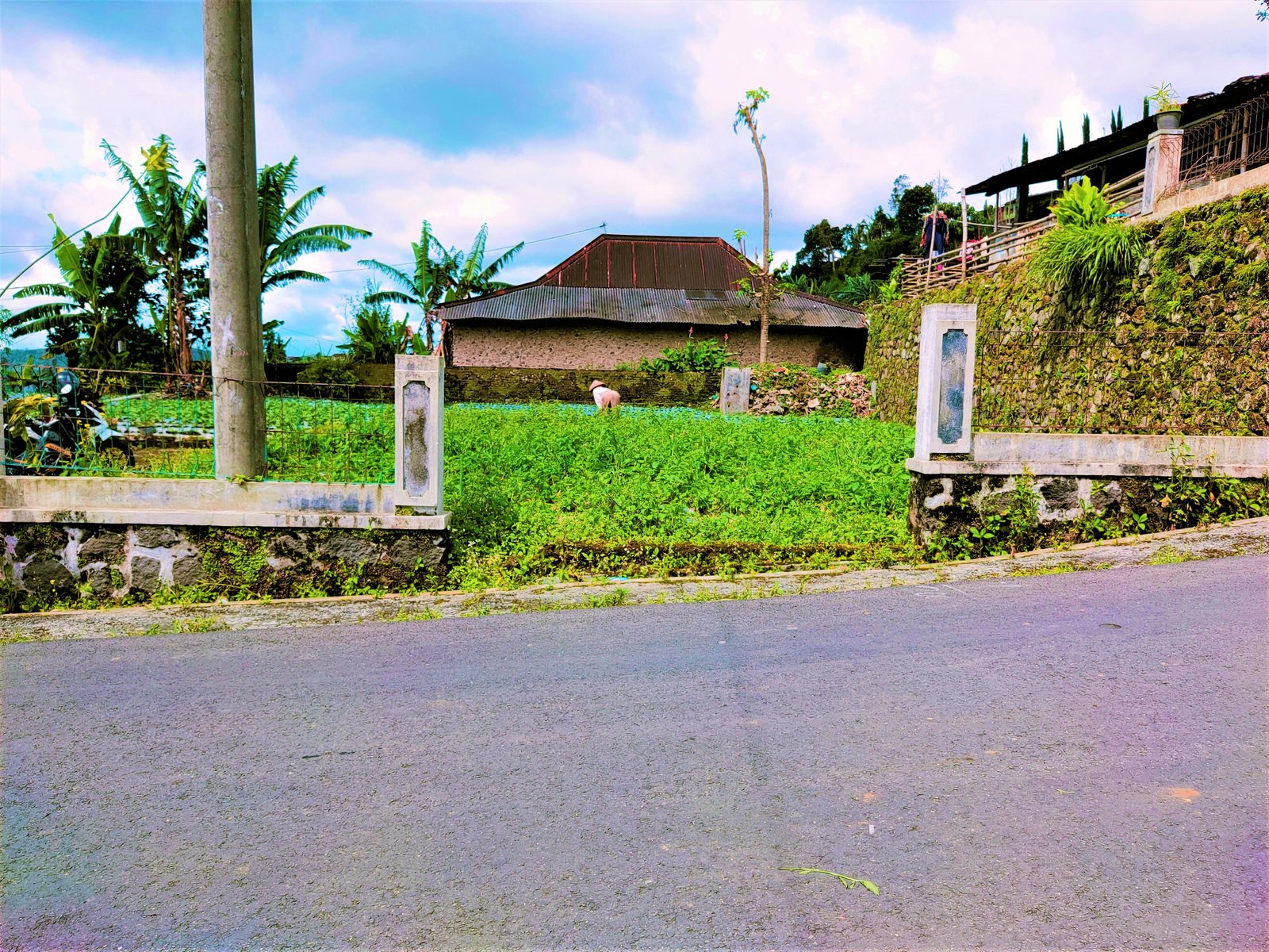 DIJUAL TANAH STRATEGIS DIBANGUN USAHA/ VILLA KEMUNING NGARGOYOSO KARANGANYAR - 2