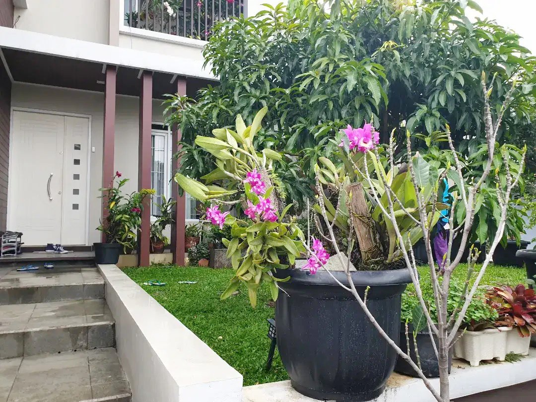 Rumah Dijual Di BCC Bukit Cimanggu City Bogor Dekat Stasiun Cilebut, Transmart Yasmin, Toserba Yogya, Tol BORR - 2