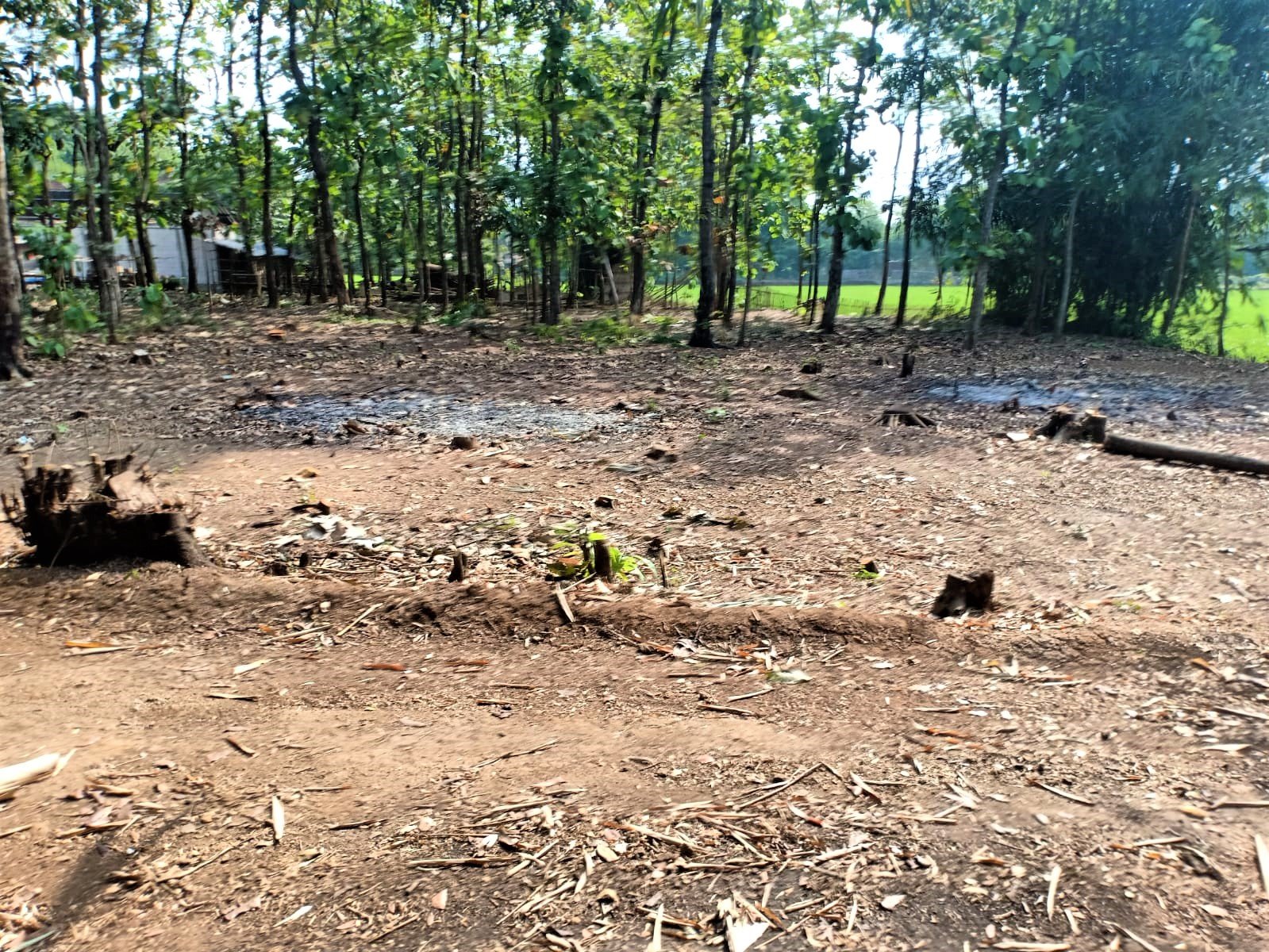 DIJUAL TANAH COCOK UNTUK INVESTASI SRAGEN JATENG - 2