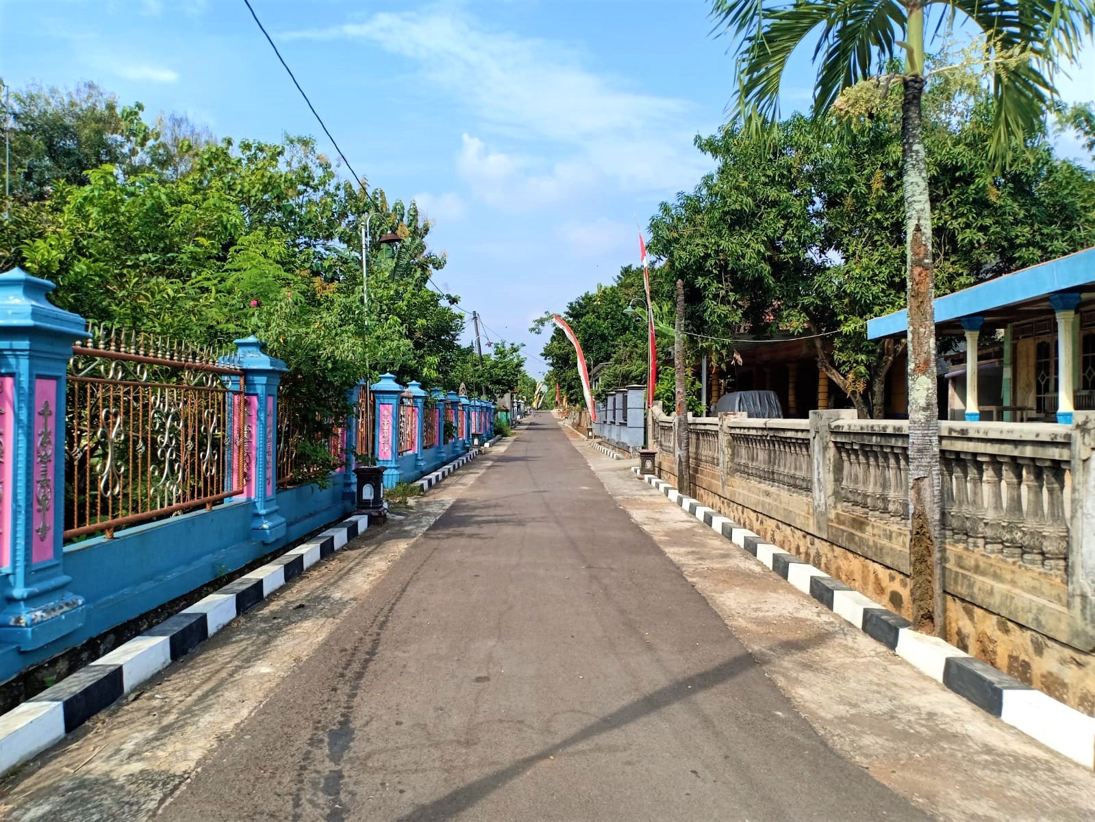 DIJUAL TANAH COCOK UNTUK INVESTASI SRAGEN JATENG - 4