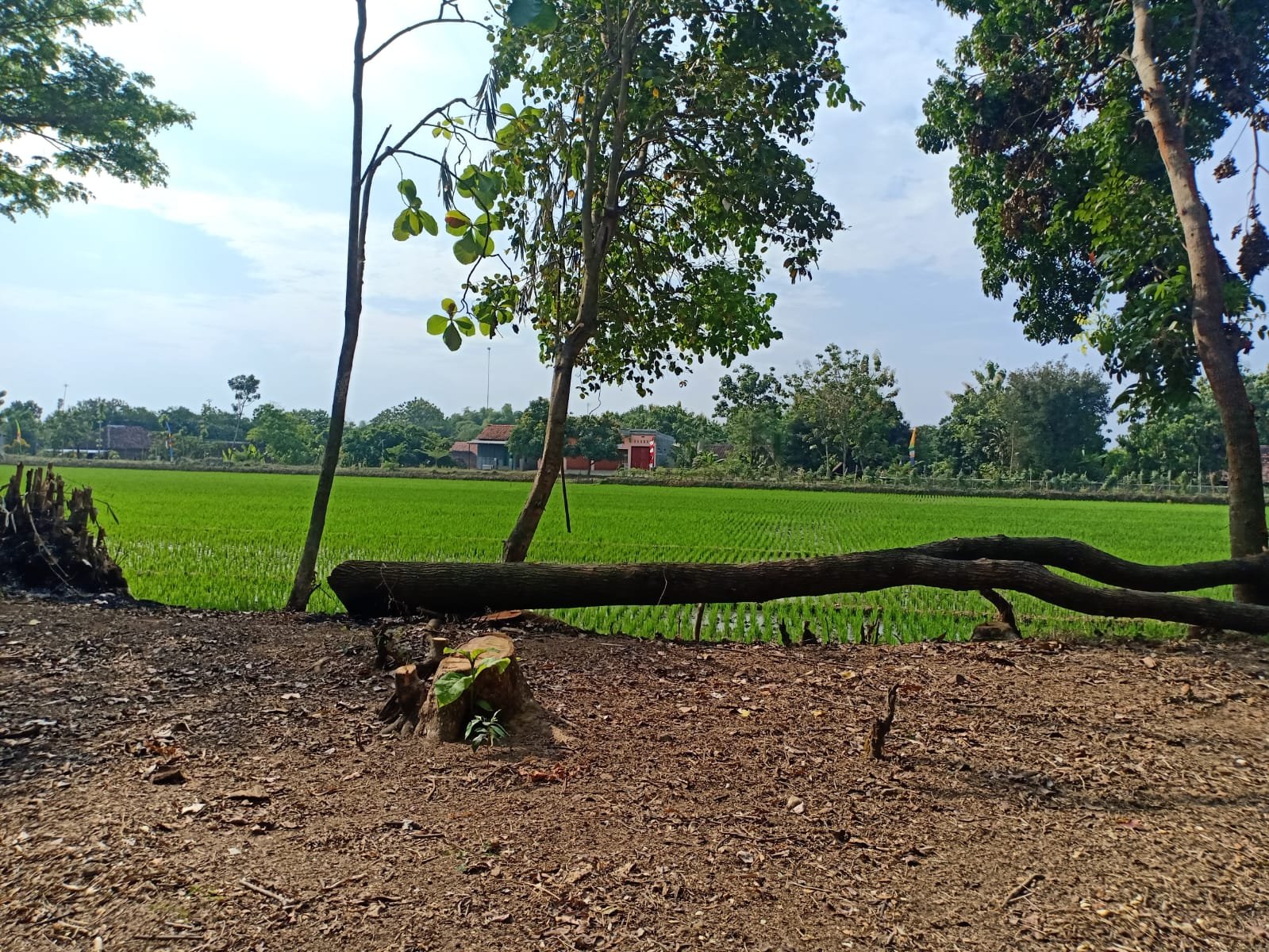 DIJUAL TANAH COCOK UNTUK INVESTASI SRAGEN JATENG - 3