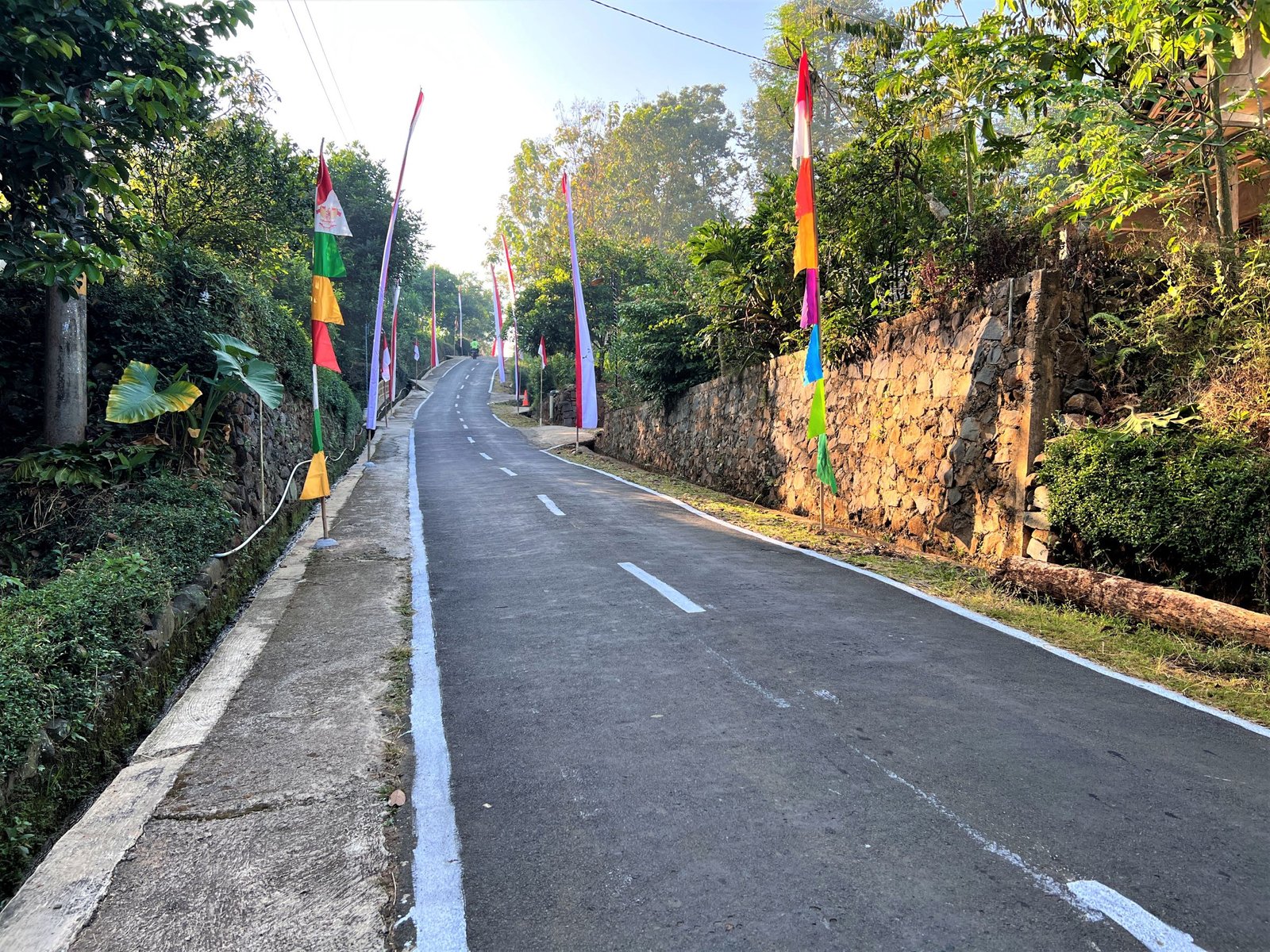 DIJUAL TANAH KEBUN DURIAN MOJOGEDANG KARANGANYAR - 4