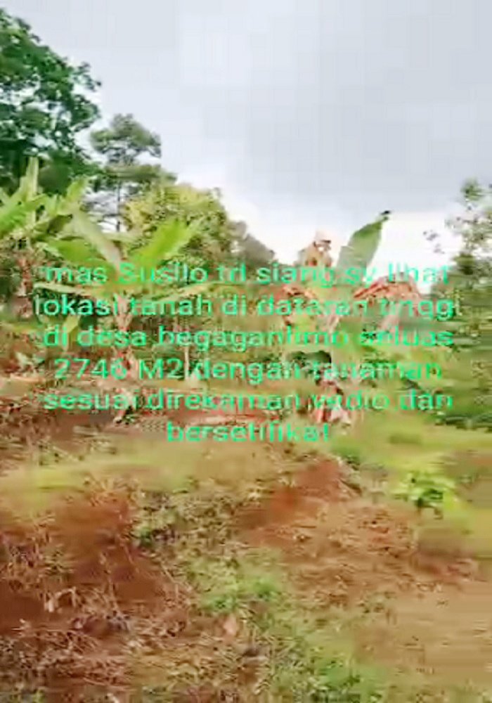Tanah Kebun Durian Dijual di Mojokerto Sangat Murah BU Cepat Lokasi Dekat Universitas PGRI Adi Buana Mojokerto - 4