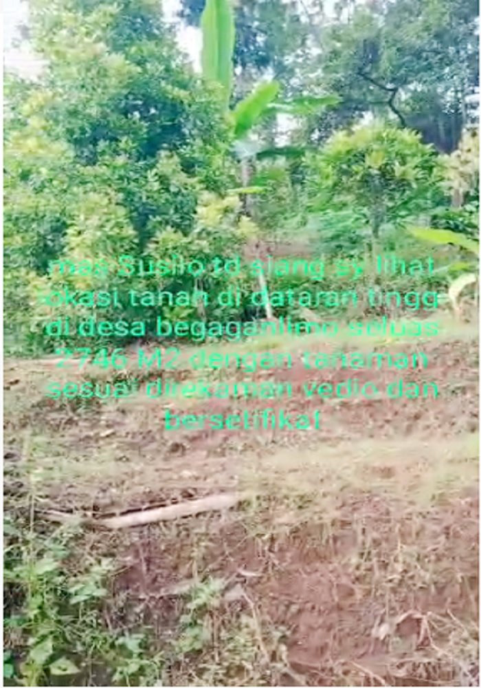 Tanah Kebun Durian Dijual di Mojokerto Sangat Murah BU Cepat Lokasi Dekat Universitas PGRI Adi Buana Mojokerto - 5